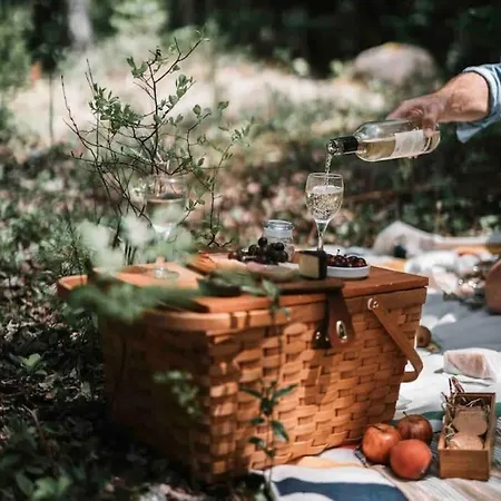 Reet Am Rhein - Eroeffnungsangebot 아파트