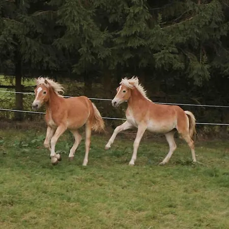 아파트 Reet Am Rhein - Eroeffnungsangebot *