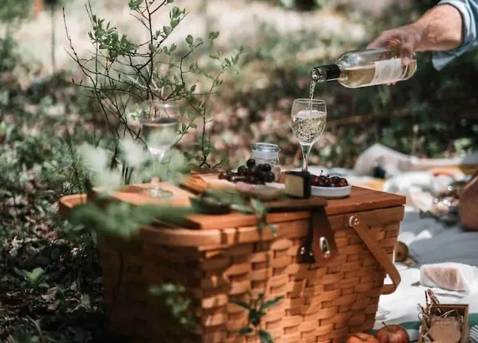 Reet Am Rhein - Eröffnungsangebot Apartment