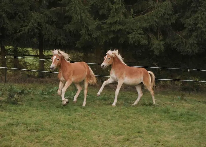 Apartment Reet Am Rhein - Eröffnungsangebot *